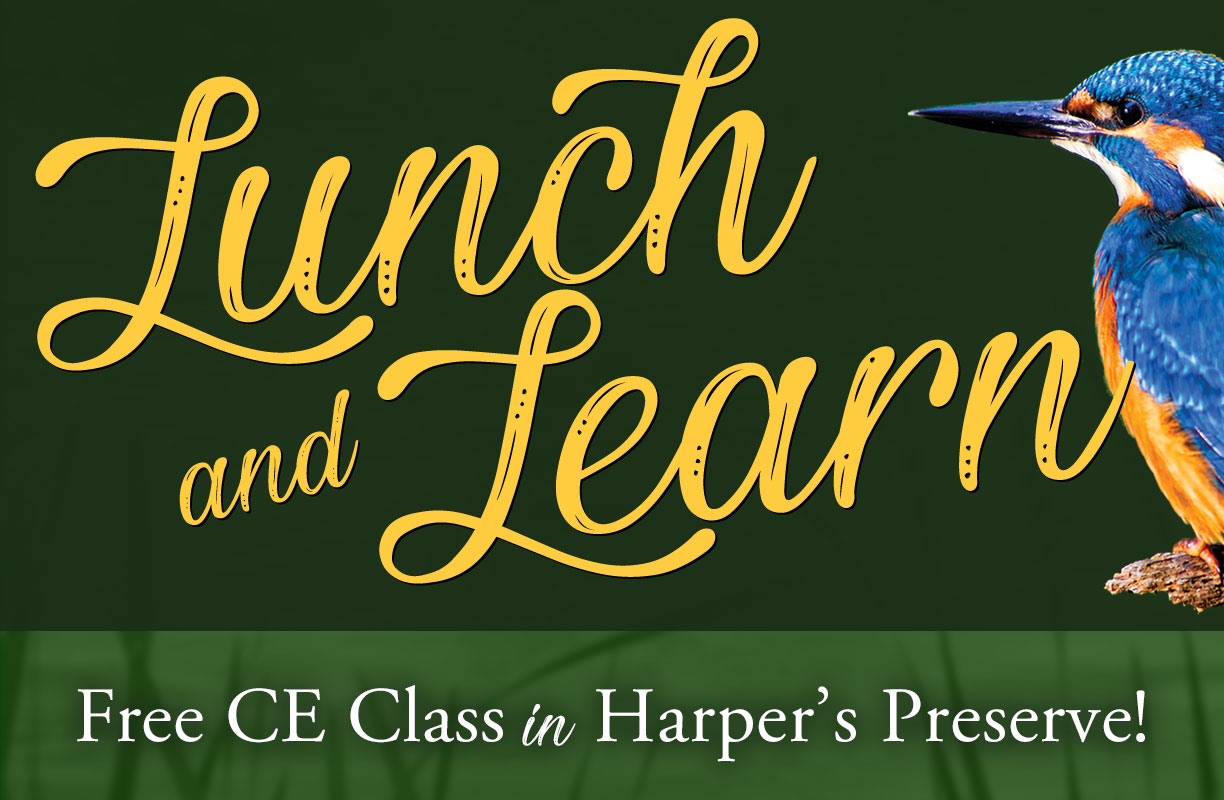 Lunch and Learn - Complimentary CE Class in Harper's Preserve!