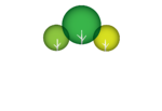 Signorelli Company