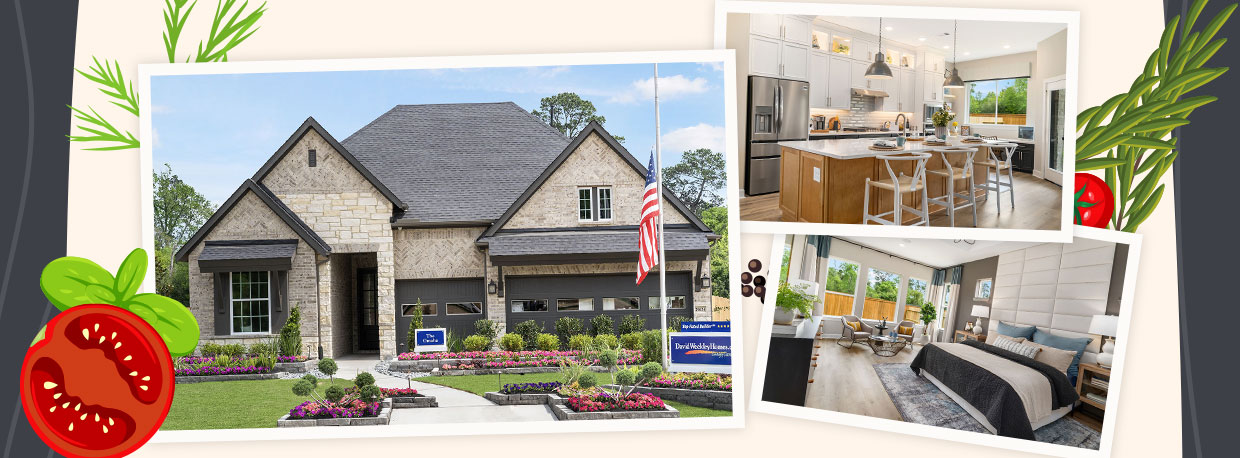 David Weekley Homes