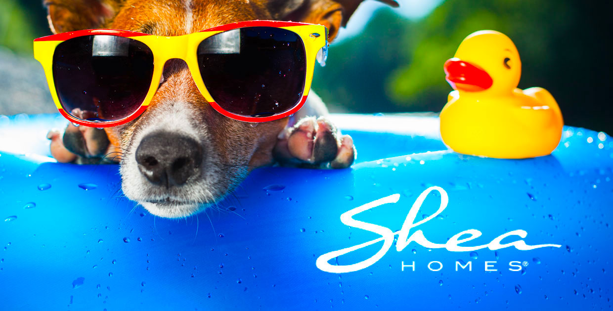 Shea Homes