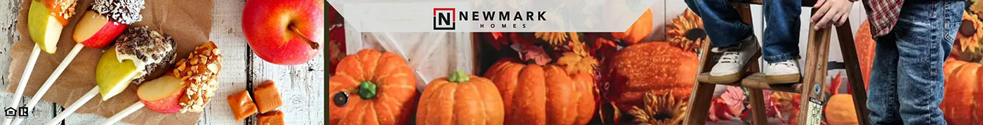 Newmark Homes