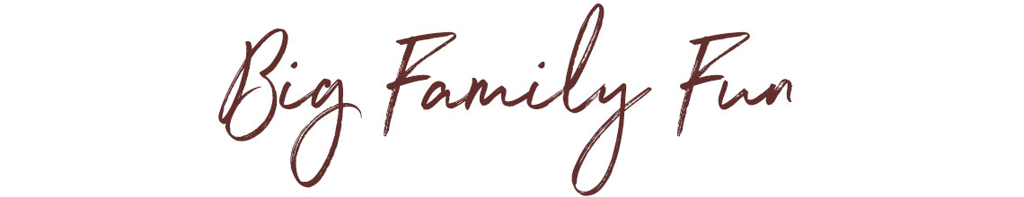 Big Family Fun