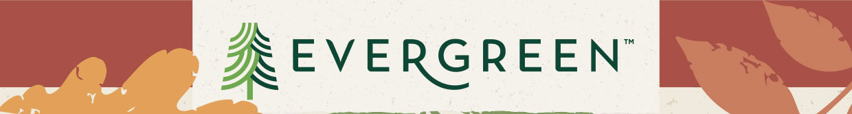 Evergreen